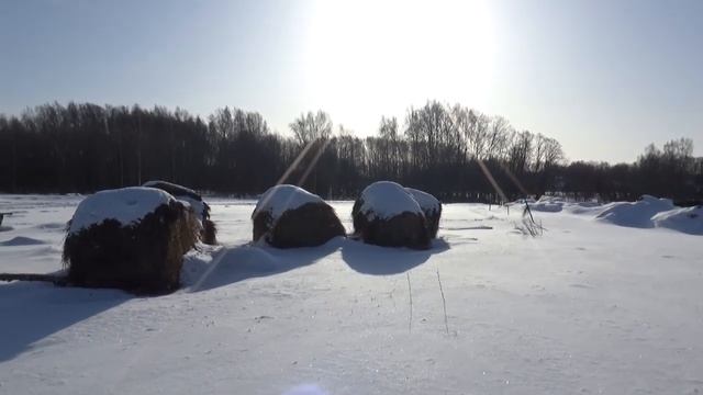 Я вернулся! Новости в нашем КФХ смотреть онлайн
