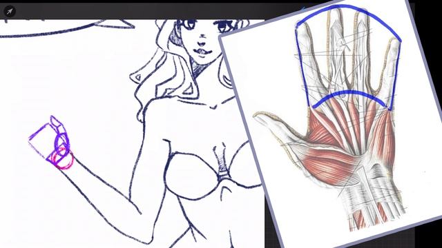Туториал: РУКИ (как рисовать кисти) |Для новичков| смотреть онлайн