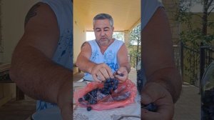 Домашний уксус из винограда ? Баку Шувеланы