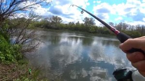 Рыбалка на фидер. Туманное утро. Ловля на пенопласт.