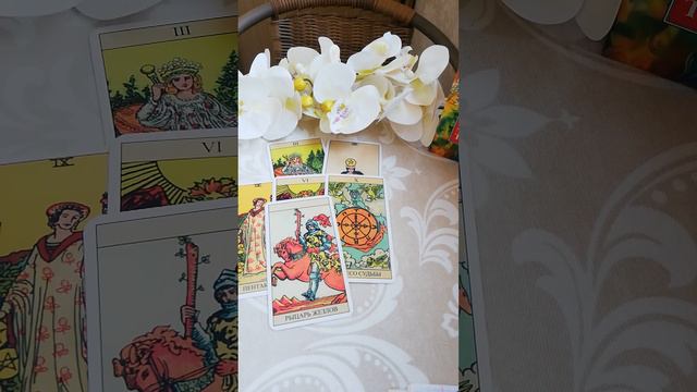 Отношения между мужчиной и женщиной на сегодняшний день