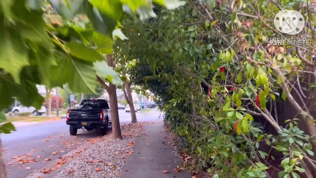 ЧТО ИСПОРТИЛО АМЕРИКАНСКУЮ КРАСОТУ. КОГДА СИЛЬНО ПАДАЮТ ПРОДАЖИ В МАГАЗИНЕ. БИЗНЕС ЭТО НЕ ПРОСТО смотреть онлайн