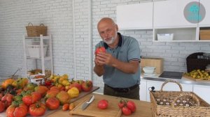 Томат Бонапарт