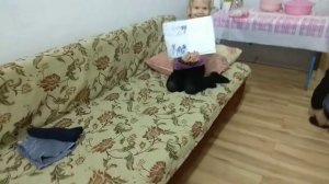 Первая ночь в своем доме.Укладка ламината.Работаем и отмечаем ДР, шашлык.Стройка дома своими руками.