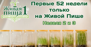 Евгений Агафонов "Личный опыт сыроедения" Проект "52 недели". Неделя 2,3. (Видео 35)