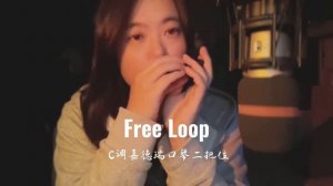 Daniel Powter-Free Loop by harmonica,it's hard for me to lose in my life I've found