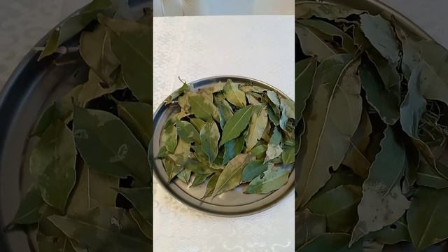 Лавровый лист. Польза, применение. смотреть онлайн