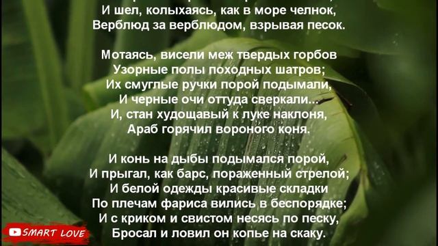 Три пальмы — Михаил Юрьевич Лермонтов #ожизни #лирика #стих смотреть онлайн