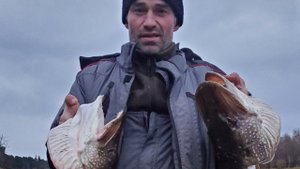 ЗДЕСЬ ЩУК МЕШКАМИ ЛОВЯТ.РЫБАЛКА НА РЕКЕ ТАЗ.ДЕНЬ ВТОРОЙ.РАЗДАЧА.