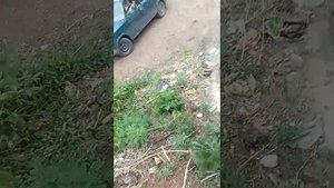 Самодельный мини грузовик "Батыр" (Чуть не перевернул мини грузовик)