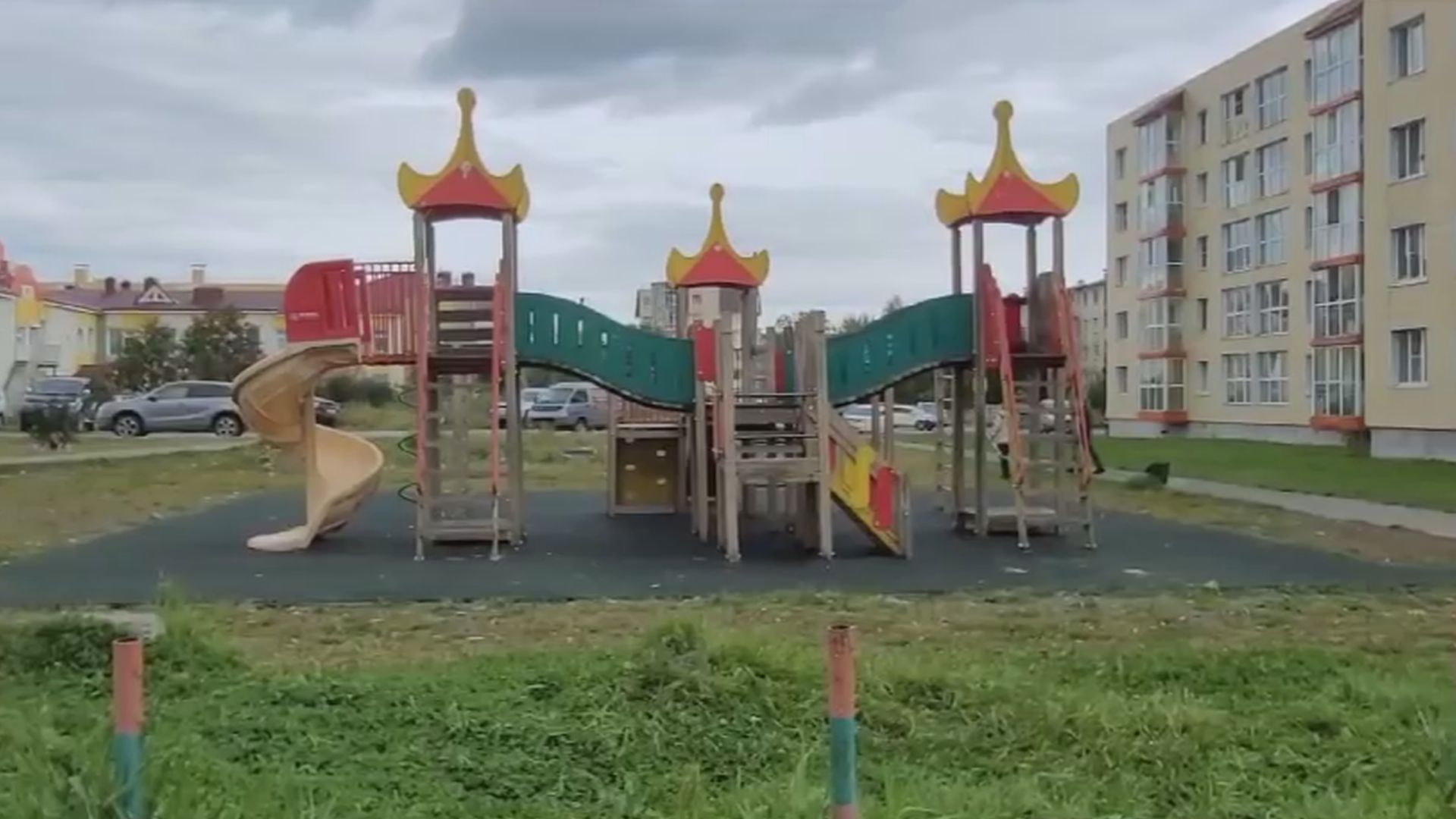 УКУСИЛА РЕБЁНКА ЗА ЛИЦО
