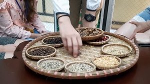 САМЫЙ ДОРОГОЙ КОФЕ В МИРЕ КОФЕ ЛЮВАК  ВЬЕТНАМ