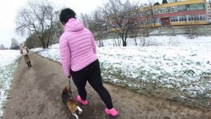 Бигль Джонни. Начало пути.