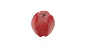 RED APPLE 3D MODEL & 144 HQ IMAGES FOR PURCHASE