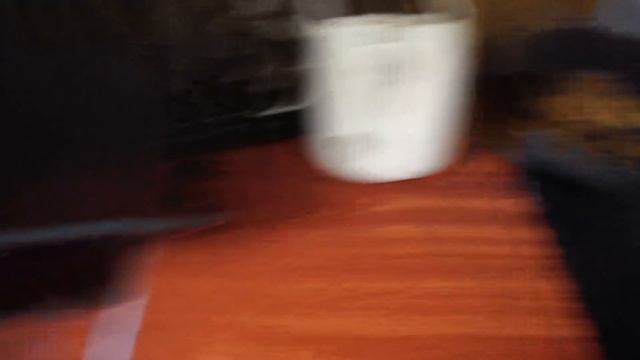 VLOG: МОЯ КРЕЙЗИ СЕМЬЯ | День Матери, Котики и Покупка книг смотреть онлайн