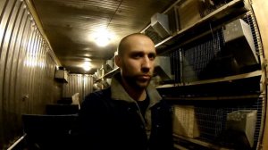 Кролики: Разница между Тосненским и Раменским комбикормом