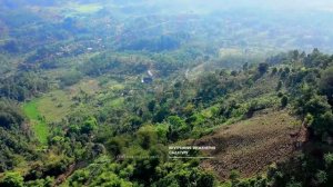 Садхгуру - Внутренняя инженерия