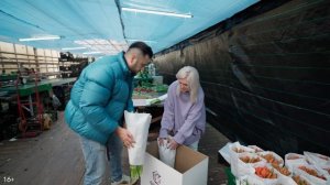 Бизнес на тюльпанах. Выращивание тюльпанов. Тепличный бизнес