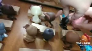 Интернат для трудных подростков#1 |Lps | с новым  Lps |