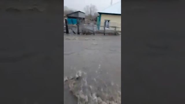 Вода идет, с. Огни Усть-Калманского района