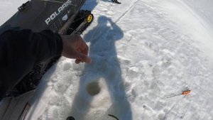 Закрытие сезона подледной рыбалки на зубаря/рыбалка Сахалин/