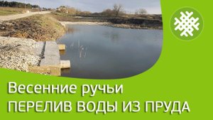 Весенние ручьи. Перелив воды из пруда