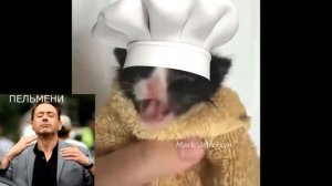 Пельмени - Хорошие пельмени это очень Вкусно!