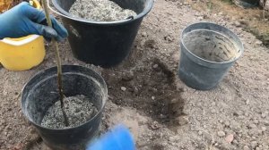 Как сформировать иву Хакуро Нишики на штамбе своими руками! Легко