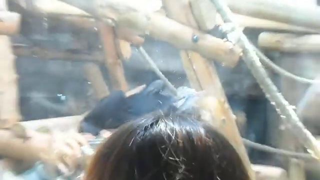 SAM 4592 смотреть онлайн