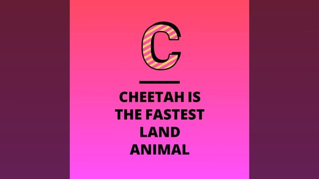 Acinonyx jubatus смотреть онлайн