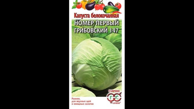 Лучший сорт капусты: эти сорта капусты советую выбрать для посадки