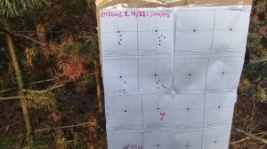 Новые пульки 2,38 и 2,3 грамма. Леший 2.