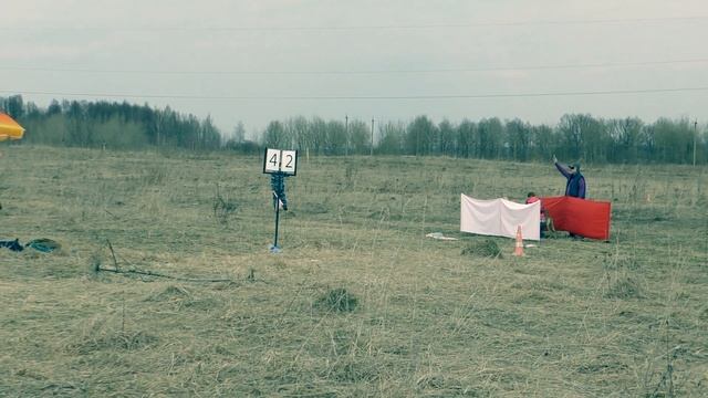 Уиппеты Скай и Стим смотреть онлайн