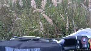 Не увидел ямку