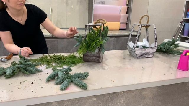 Композиция из нобилиса смотреть онлайн