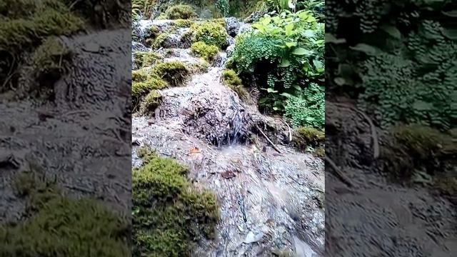ВОДОПАД недалеко от ЛАЗАРЕВСКОГО #отмосквыдосочи #сочи
