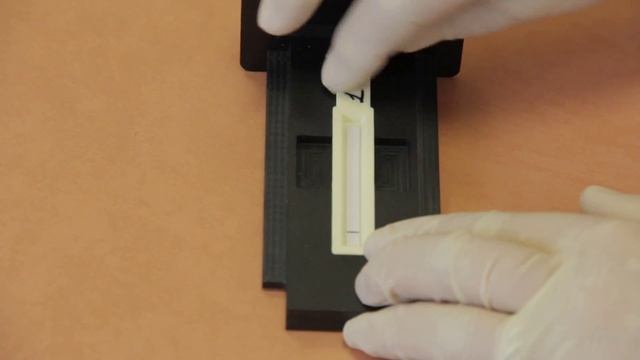 Лаборатория ИФА и ПЦР