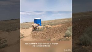 Поездка РФ - Узбекистан на машине, через Казахстан.