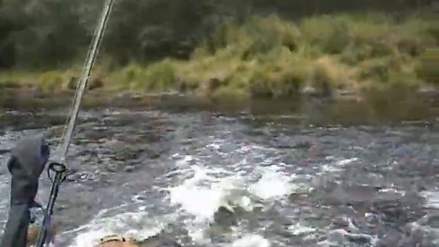 Неизвестная Капша ( 2006 г.) смотреть онлайн