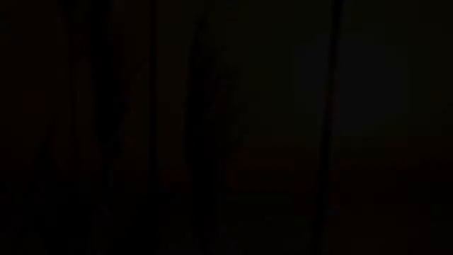 разнообразие природы родного края 3 класс окружающий смотреть онлайн