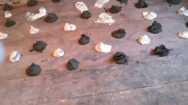 Як вирівняти стару дерев'яну підлогу під вкладання ламінату, плитки. Ламінат на дерев'яну підлогу. смотреть онлайн