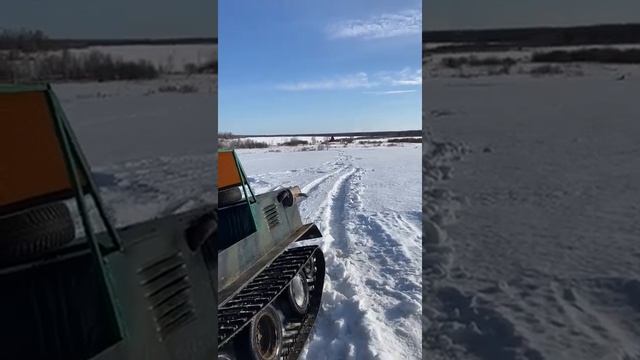 Гусеничный вездеход бродяга. Засел плотно. Видео от заказчика