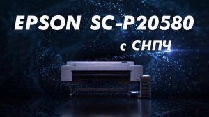 Epson SC-P20580