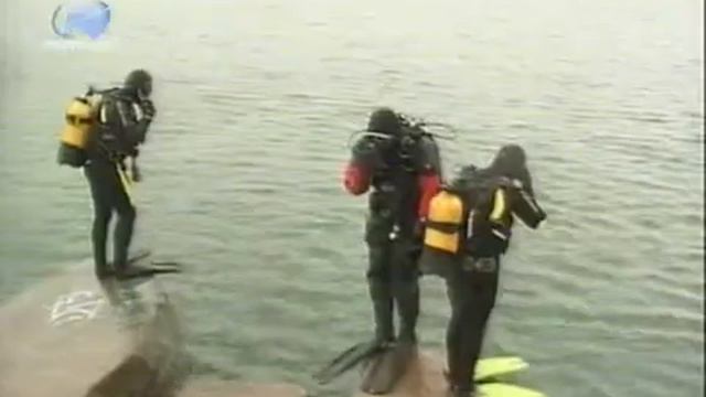Дайвклуб ОНЕГО. Новости Петронет 9.6.2008