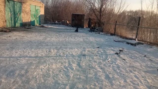 Работа жестами с моей собакой. смотреть онлайн