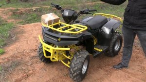 Квадроцикл IRBIS ATV125 2024. Обзор.