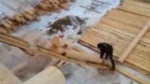Строительство сруба, поднимаем бревна на 2-й этаж сруба