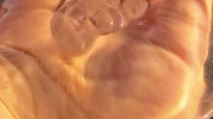 Осень в Ялте, октябрь 2020