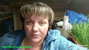 Выгодно ли содержать перепелов? ВЛОГ.