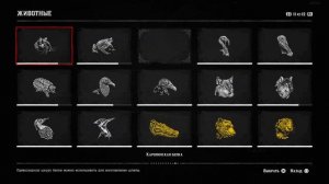 Red Dead Redemption 2 Пантера и Флоридская Пума, изучение. (RDR2 Panther and Florida Panther study)